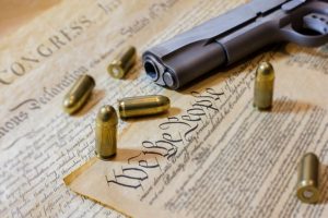 Protect Our 2nd Amendment Rights in Pennington County